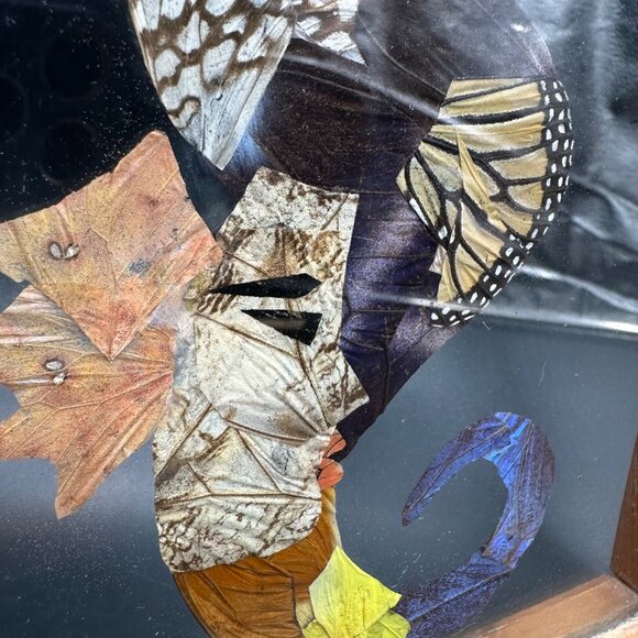 Seahorse Butterfly Wing Art Wooden Frame Belize Nautical Ocean Beach Decor - Picture 5 of 10